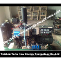 30kw TAIFA biogas generator price